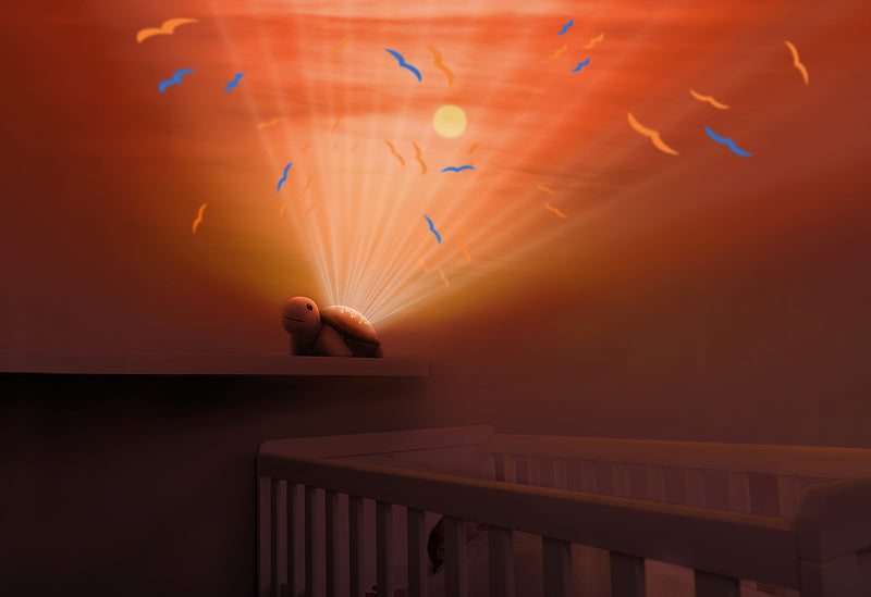 ZAZU Projektor Schildkröte Tim