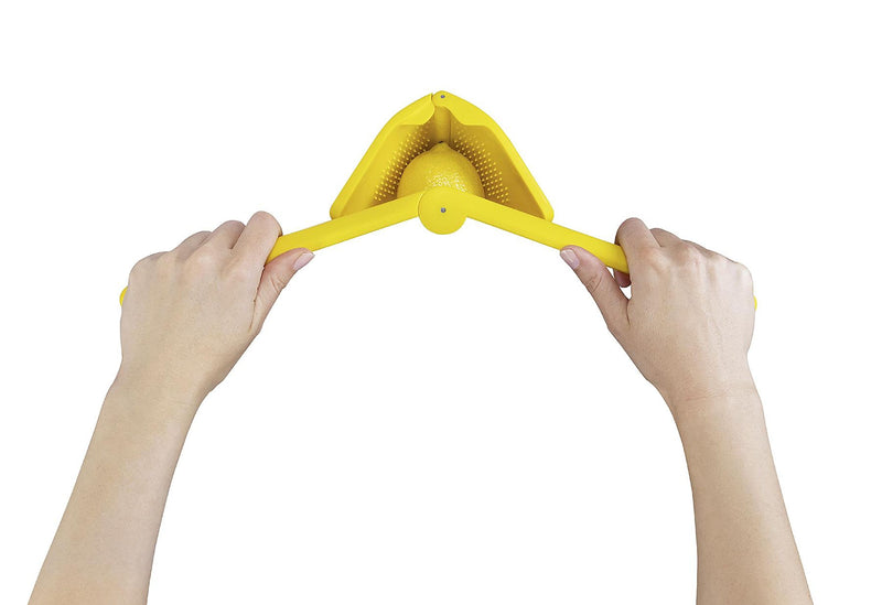 Fluicer - Lemon