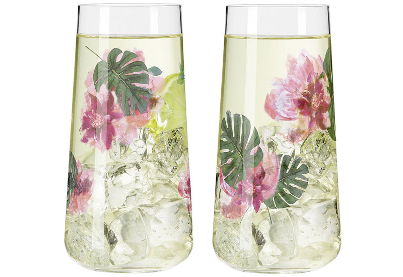 RITZENHOFF Sommersonett Universalglas 2er Set