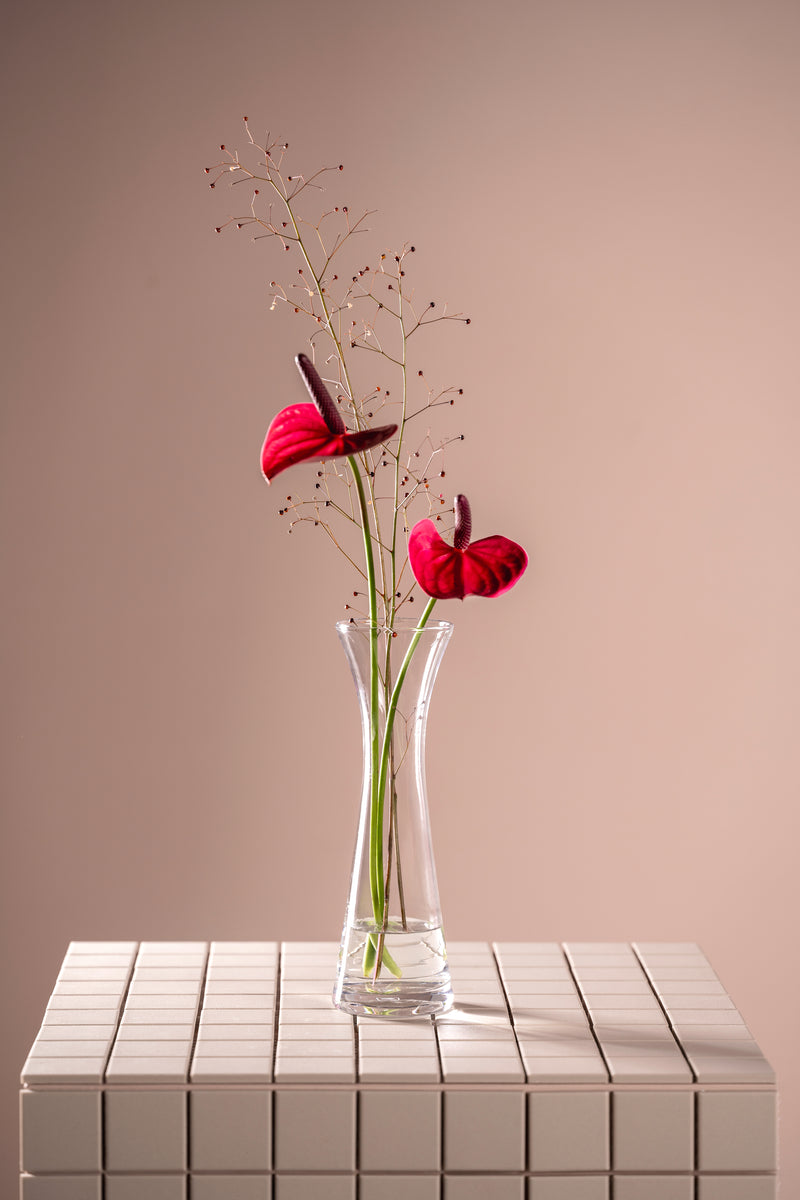 LEONARDO Solifleurvase Gia 25cm