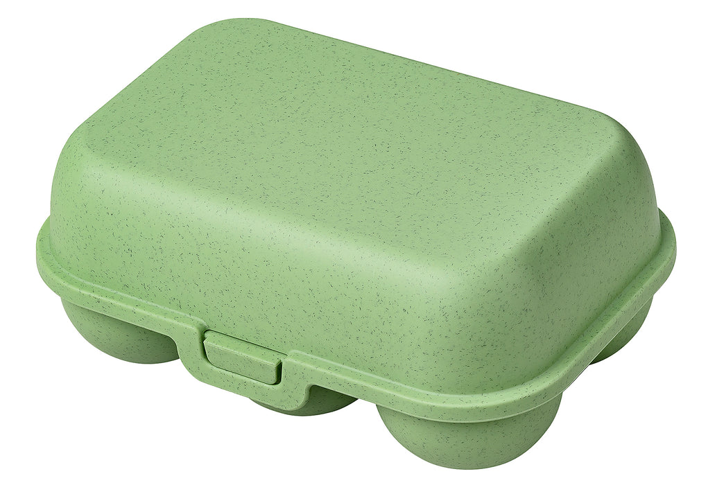 KOZIOL Eierbox Eggs to go mini nature leaf green