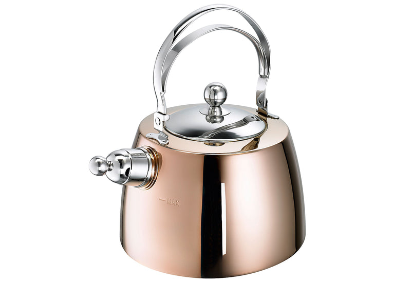 SCHULTE-UFER Flötenkessel Zora 2,6 l Ø20cm Edelstahl