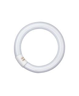 OSRAM Leuchtrohr G10 Ringröhre 2250lm 32 Watt/840 Ø305mm