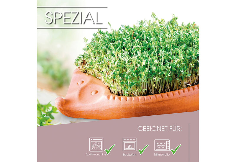 RÖMERTOPF Kresse - Igel