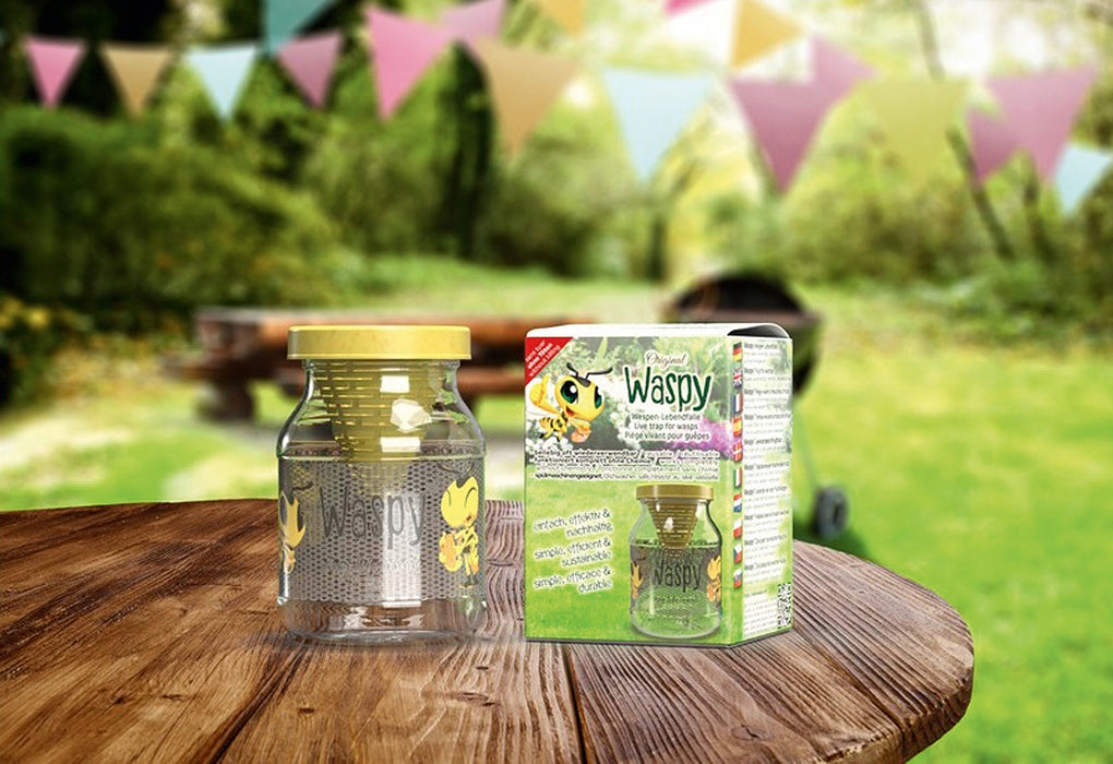 Waspy® - Die nachhaltige Wespen-Lebendfalle