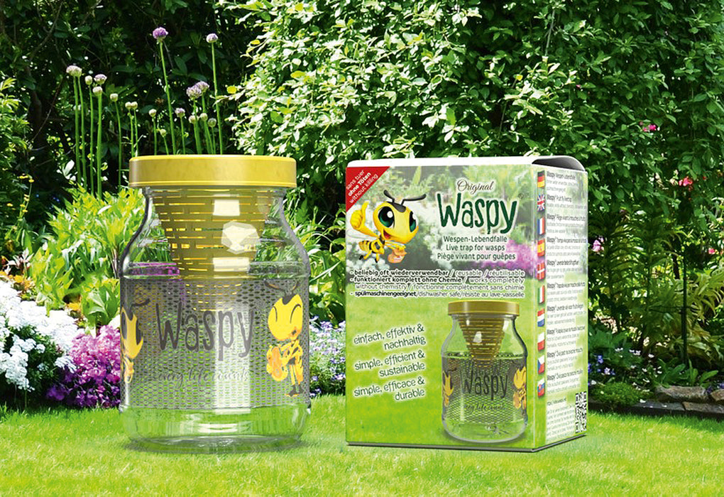 Waspy® - Die nachhaltige Wespen-Lebendfalle