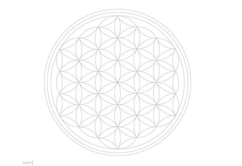 CARRY Trinkflasche 1l Flower of Life