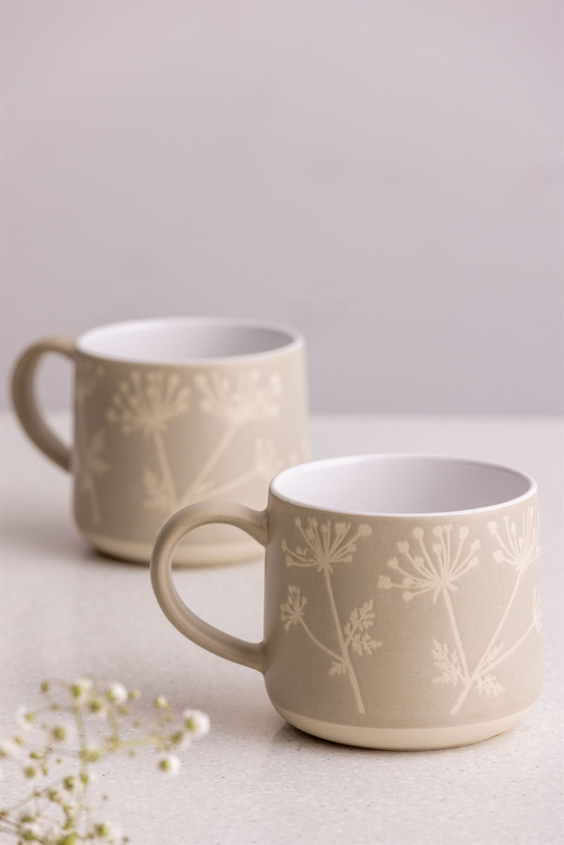 Tasse, Schleierkraut