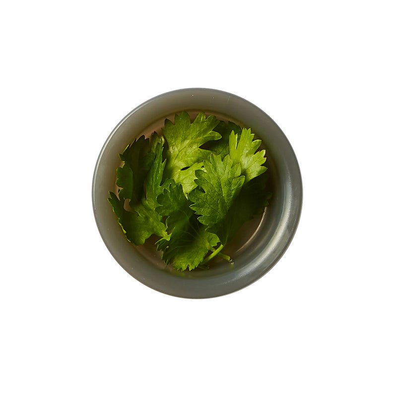 ORIGINAL Lunchbox,Olive, 1 Liter