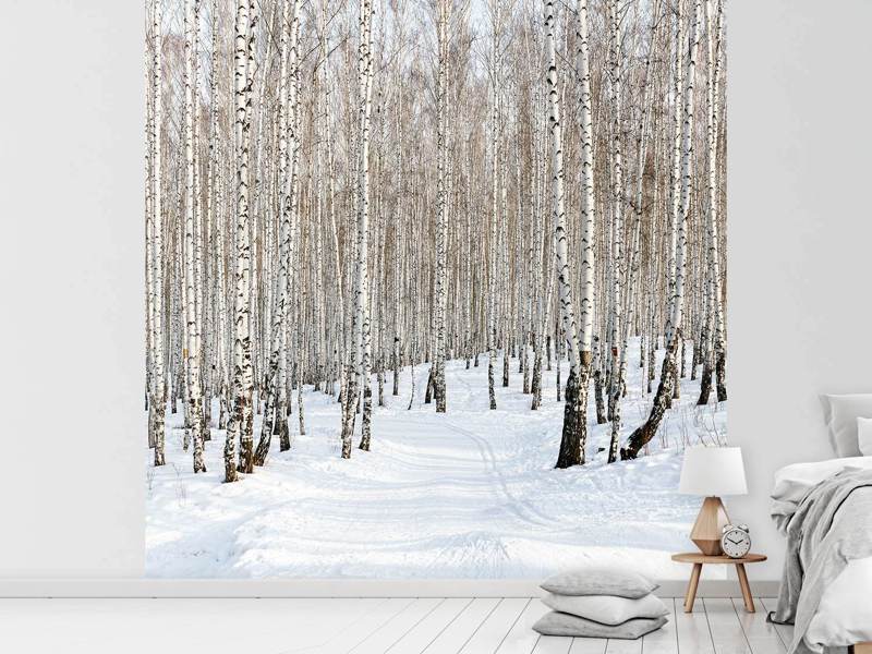 Wall Mural Birch forest traces in the snow