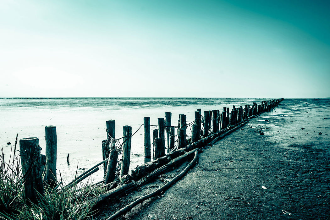 Fototapete Das Wattenmeer