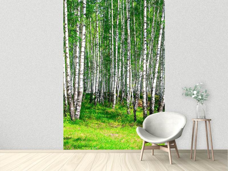 Wall Mural The birch forest in summer