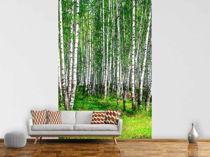 Wall Mural The birch forest in summer