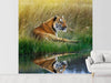 Fototapete Der Tiger - Tag2 by Suzenna