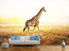 Fototapete Die Giraffe - Tag2 by Suzenna