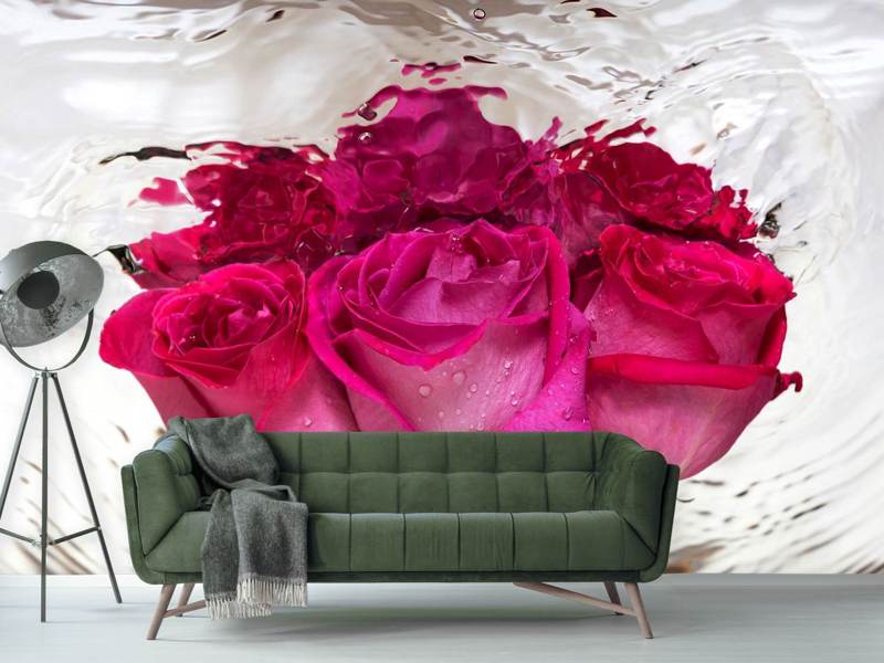 Photo wallpaper The rose reflection