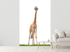 Fototapete Die lange Giraffe - Tag2 by Suzenna