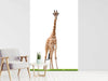 Fototapete Die lange Giraffe - Tag2 by Suzenna