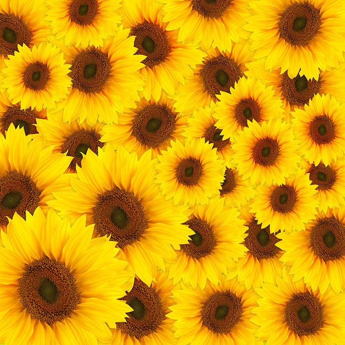 Fototapete Ein Strauss Sonnenblumen