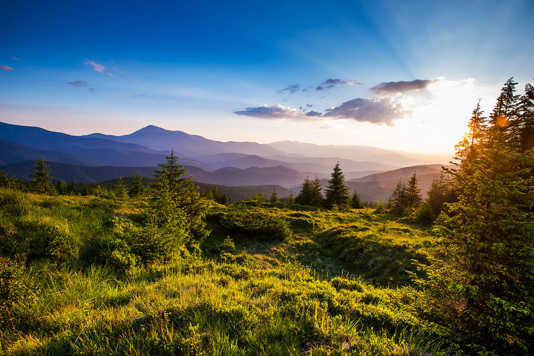 Fototapete Friedliche Landschaft