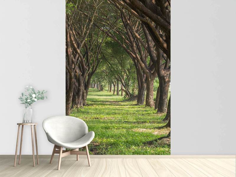 Photo wallpaper In the forest forest