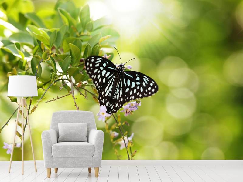 Fototapete Papilio Schmetterling XXL