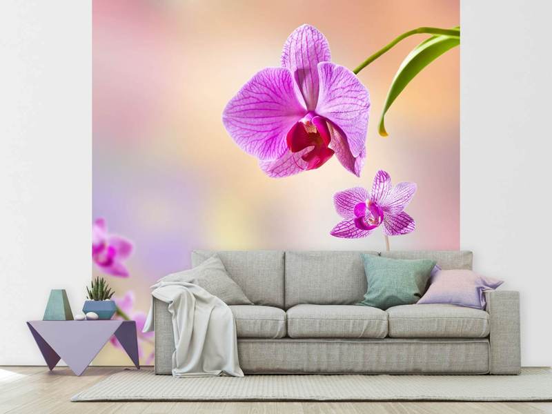 Wall Mural Romantic orchids