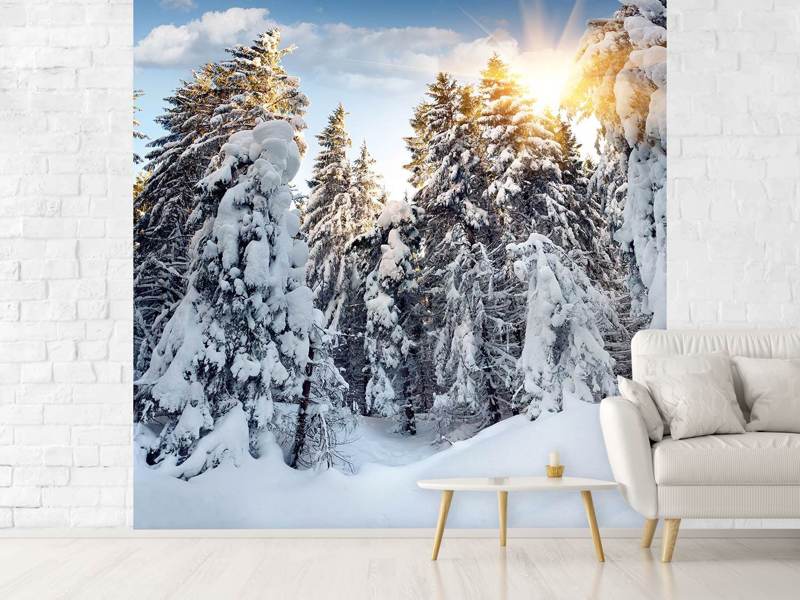 Wall Mural Fir trees in the snow