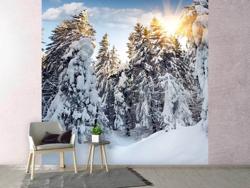 Wall Mural Fir trees in the snow