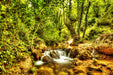 Fototapete Wasserfall im Wald