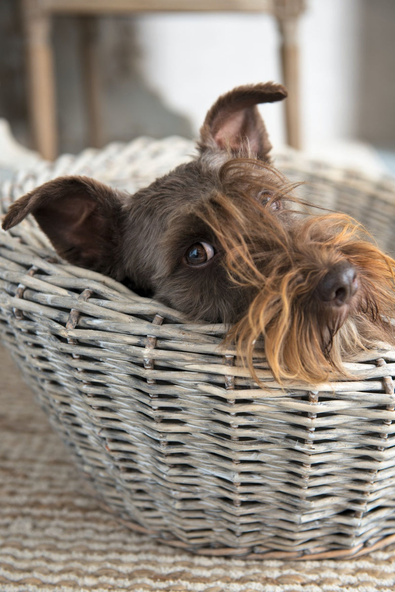 Tolle Futterschalen, Doppel Hundefressnapf aus Eisen, Modell "LANDSITZ", zwei Edelstahl Näpfe, Eisengestell mit Verzierungen, ideal für drinnen und draußen