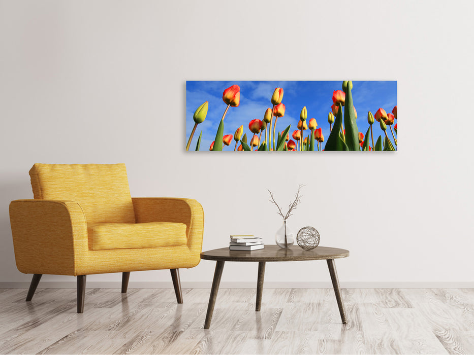 Leinwandbild Panorama Tulpen ragen zum Himmel