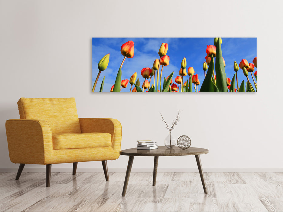 Leinwandbild Panorama Tulpen ragen zum Himmel