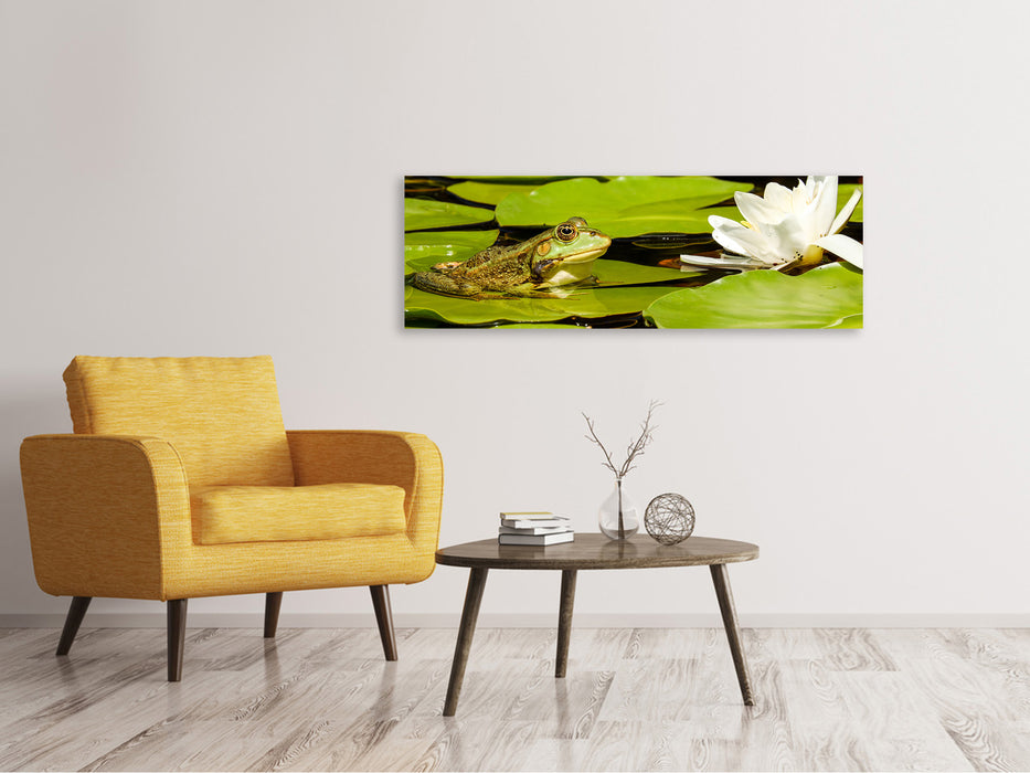 Leinwandbild Panorama Der Frosch und die Seerose