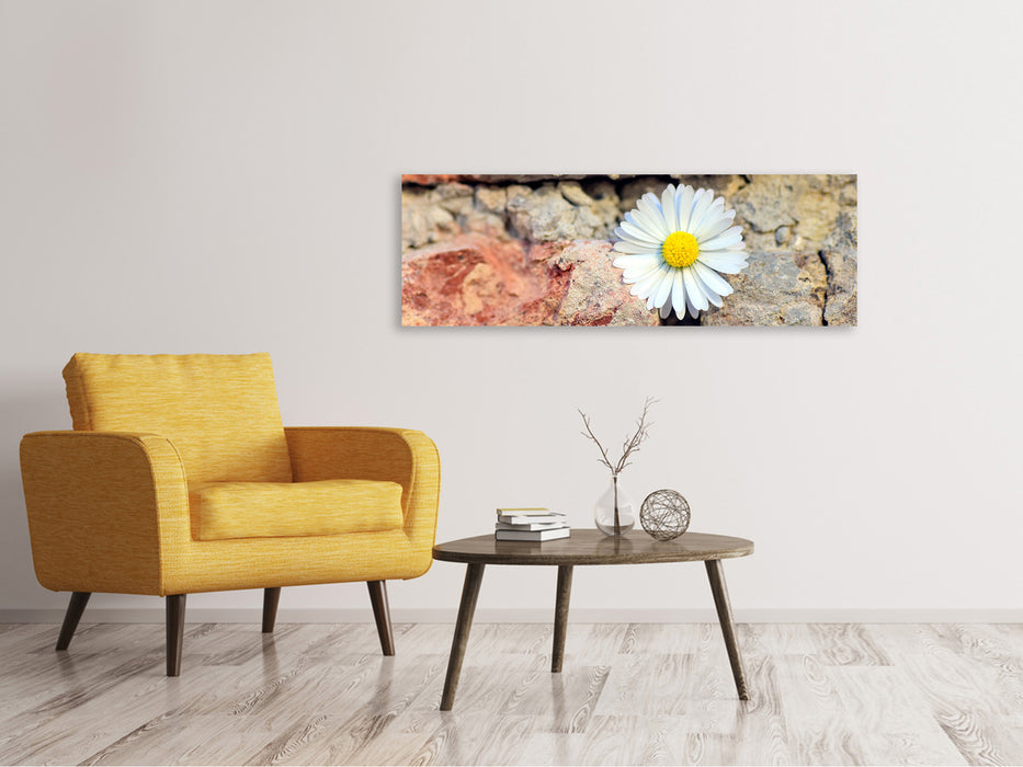 Leinwandbild Panorama Blume in der Wand