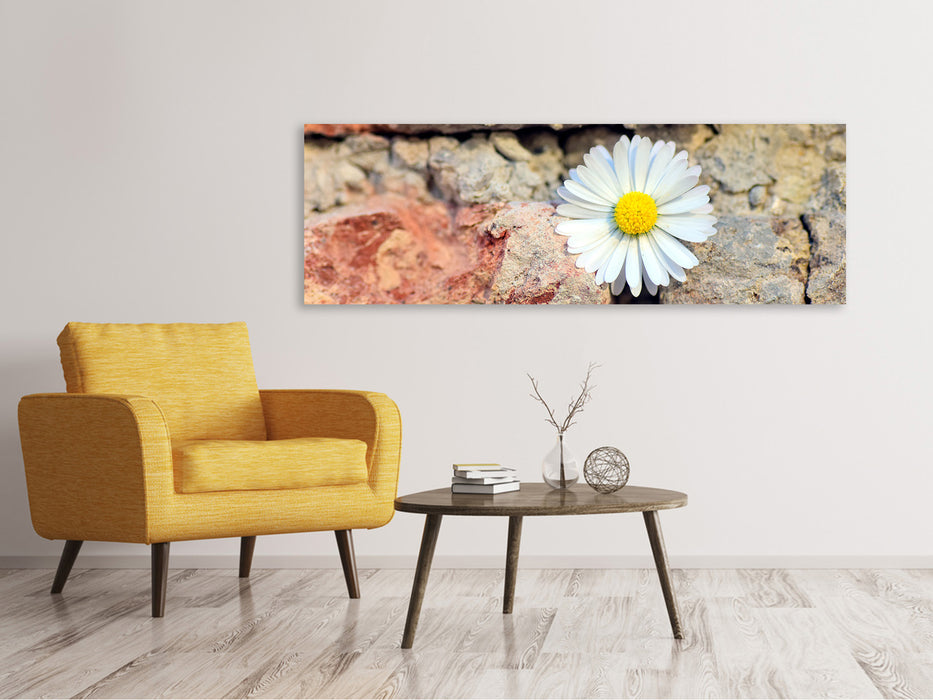 Leinwandbild Panorama Blume in der Wand