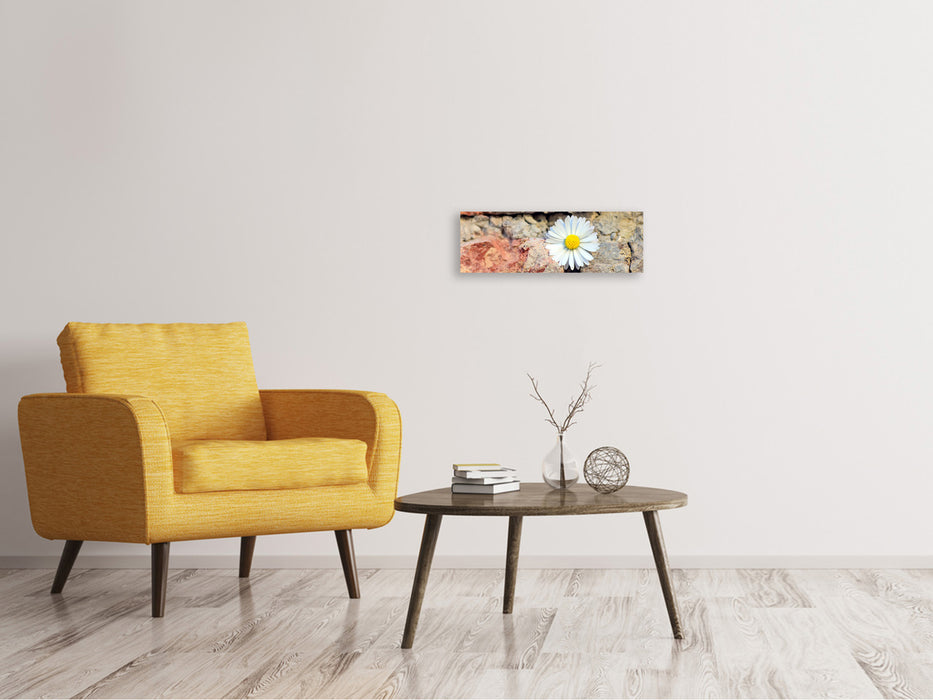 Leinwandbild Panorama Blume in der Wand