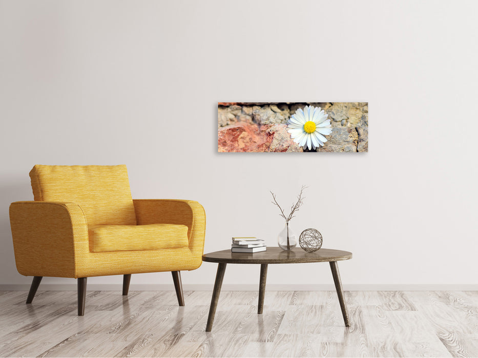 Leinwandbild Panorama Blume in der Wand