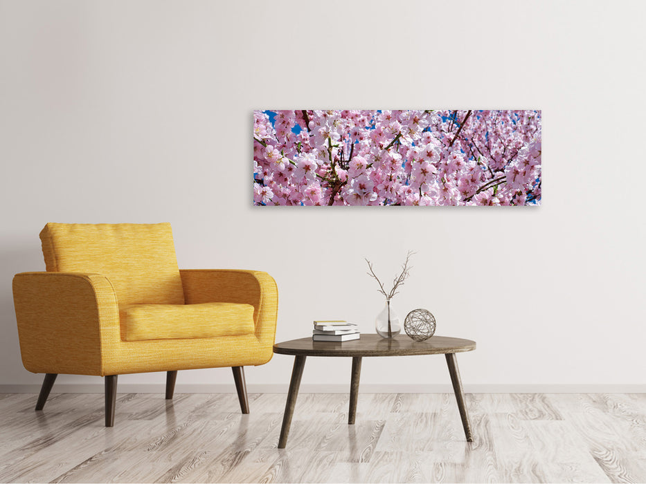 Canvas print panorama The Japanese ornamental cherry