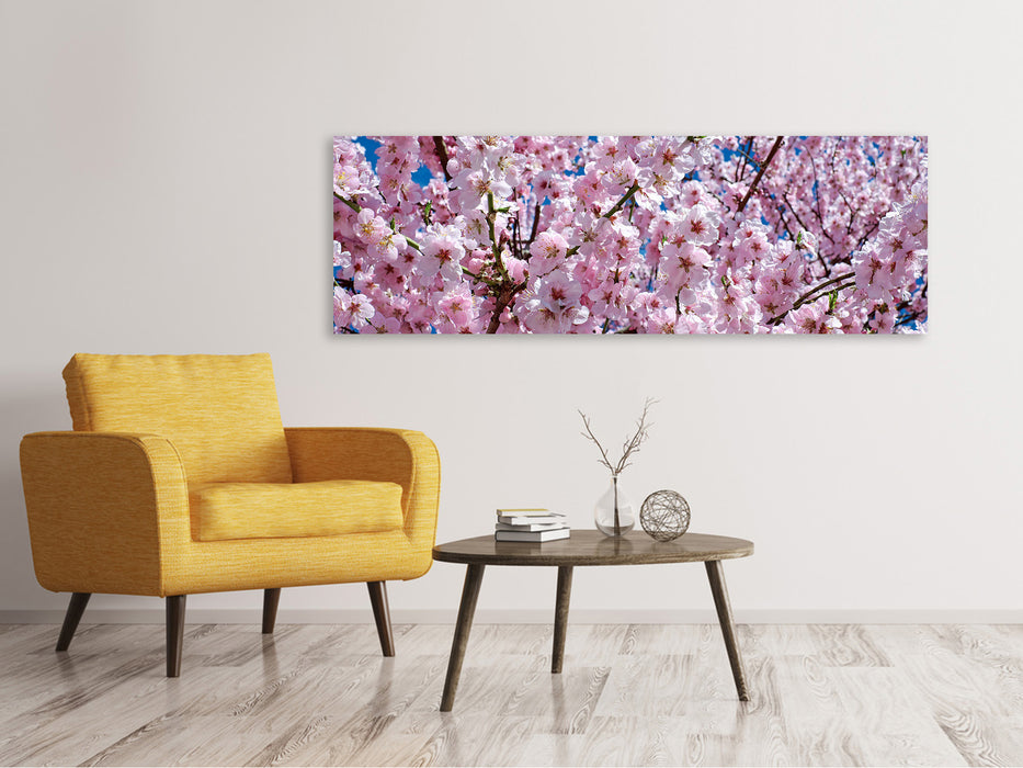 Canvas print panorama The Japanese ornamental cherry