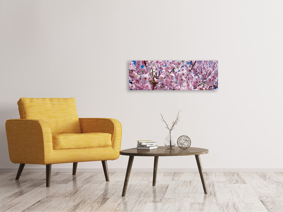 Canvas print panorama The Japanese ornamental cherry