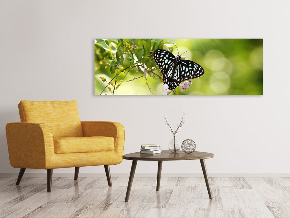 Leinwandbild Panorama Papilio Schmetterling XXL