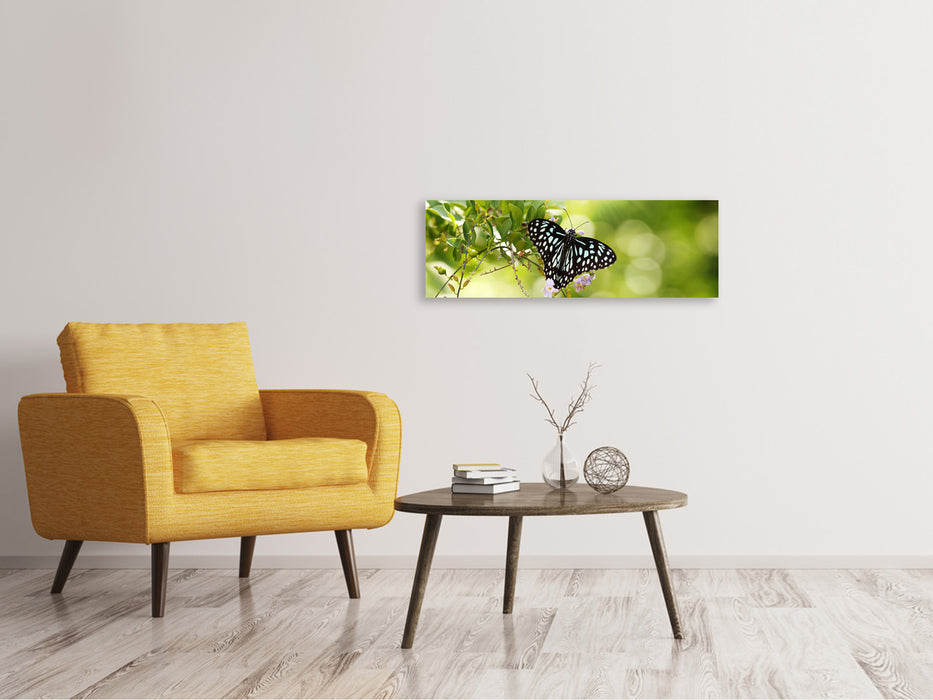 Leinwandbild Panorama Papilio Schmetterling XXL