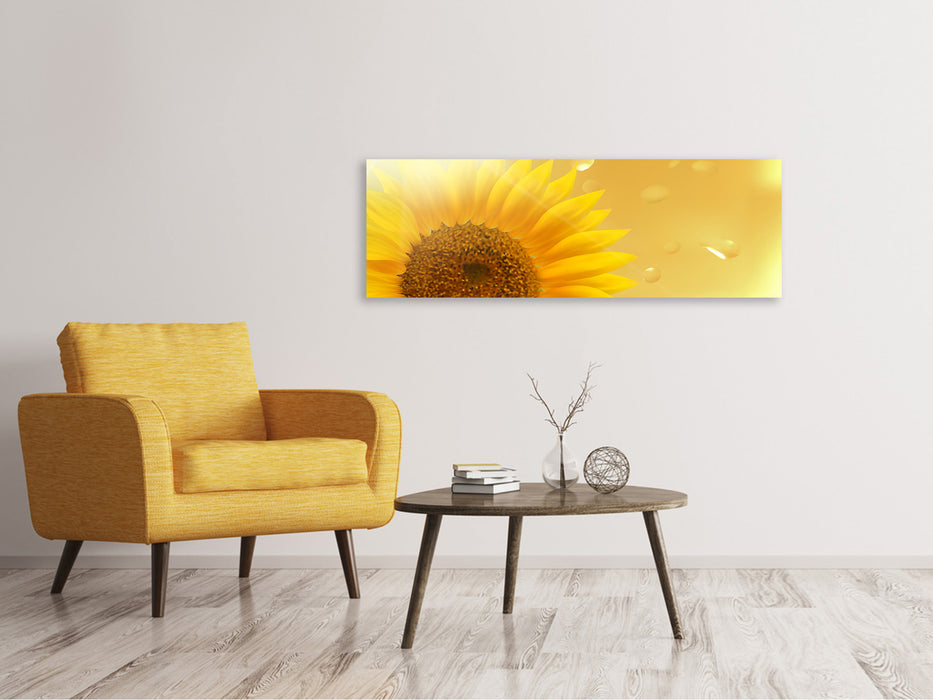 Leinwandbild Panorama Sonnenblume im Morgentau