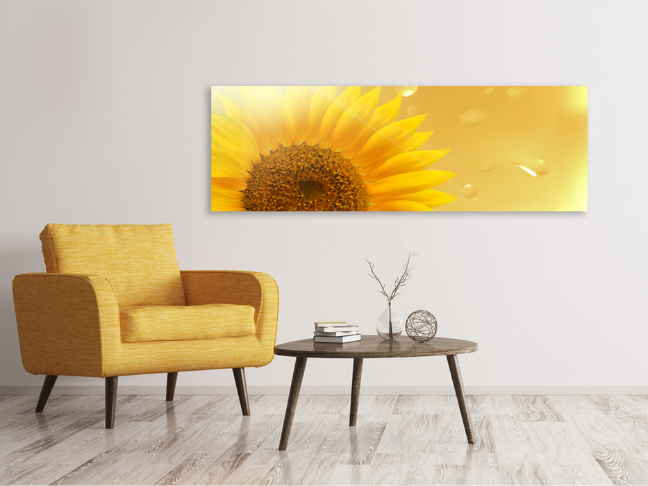 Leinwandbild Panorama Sonnenblume im Morgentau