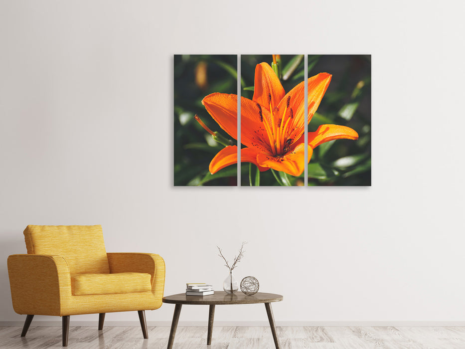 Leinwandbild 3-teilig Lilien Blüte in orange XL