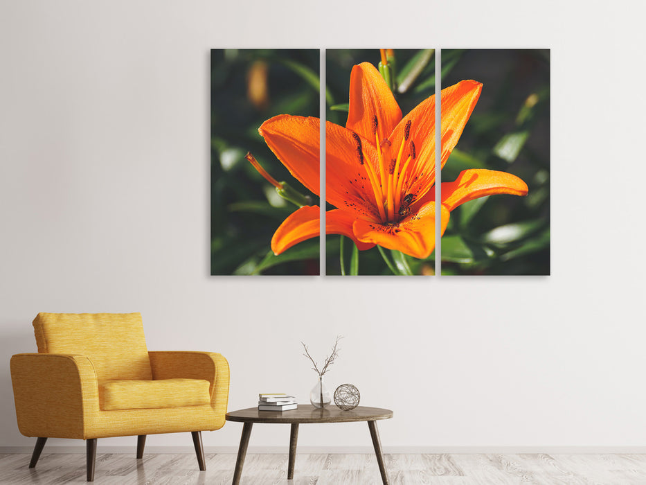 Leinwandbild 3-teilig Lilien Blüte in orange XL