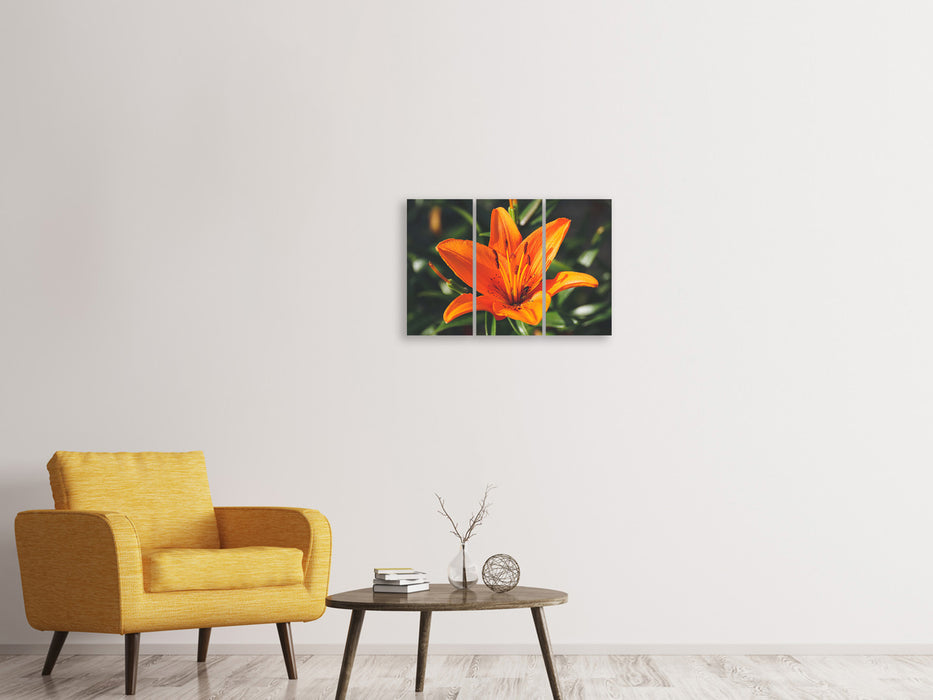 Leinwandbild 3-teilig Lilien Blüte in orange XL