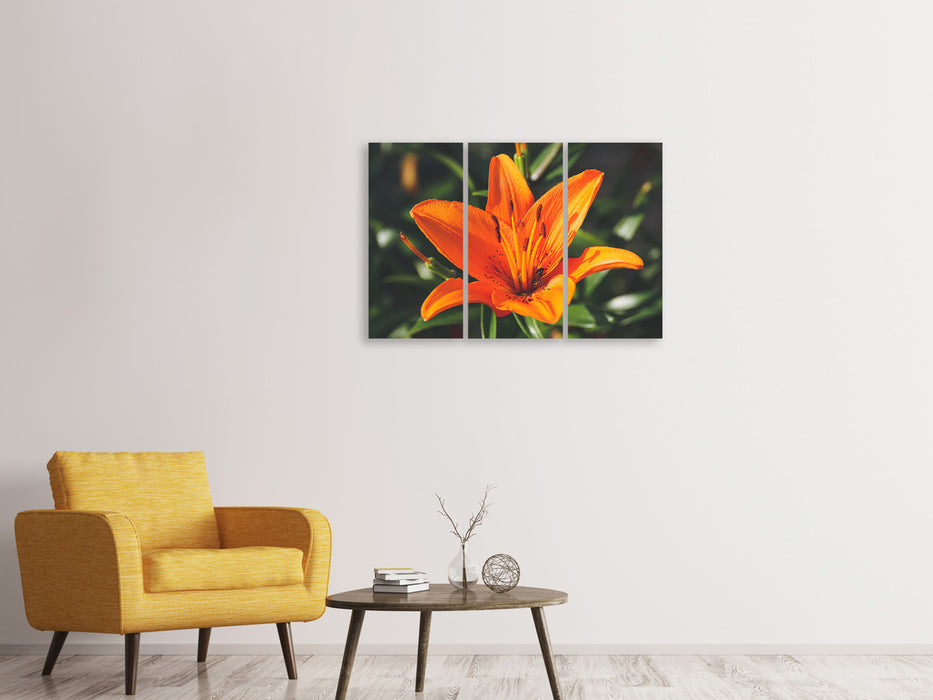 Leinwandbild 3-teilig Lilien Blüte in orange XL