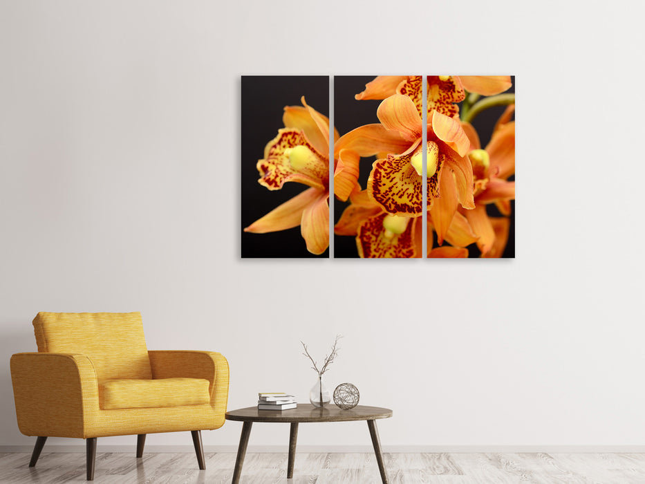 Leinwandbild 3-teilig Orchideen mit orangen Blüten